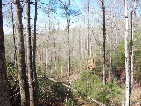 0 Furman Drive, Hendersonville, NC 28739